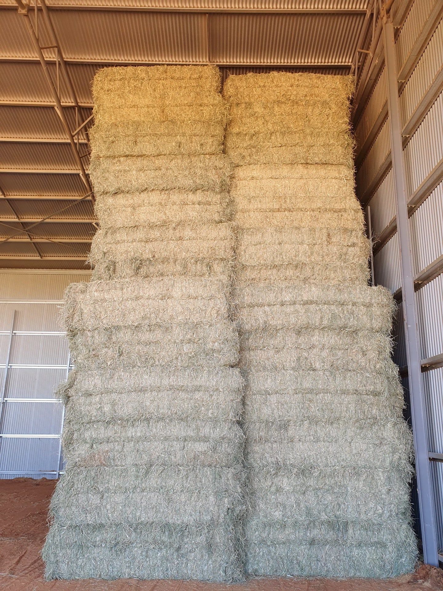 Buy Rhodes Grass Hay - Organic Hay